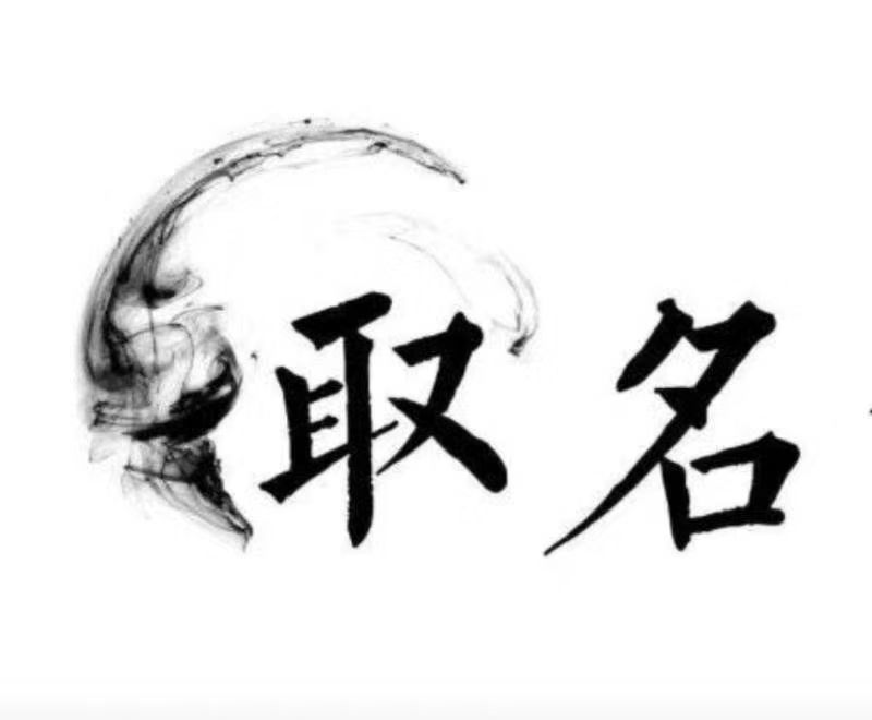  若尔盖宝宝取名 大师一对一人工起名